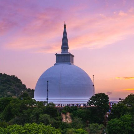 Grand Tour of Sri Lanka 12 Days