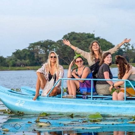Explore Sigiriya, Safari & Tea Country 3 Days