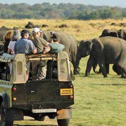 Wonders of Sri Lanka  8 Days